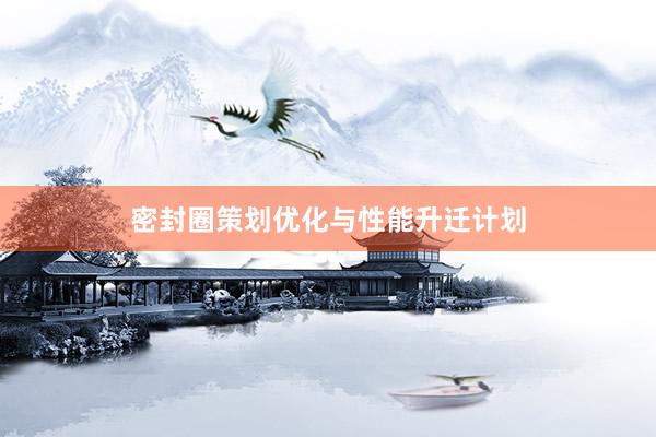 密封圈策划优化与性能升迁计划