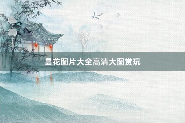 昙花图片大全高清大图赏玩