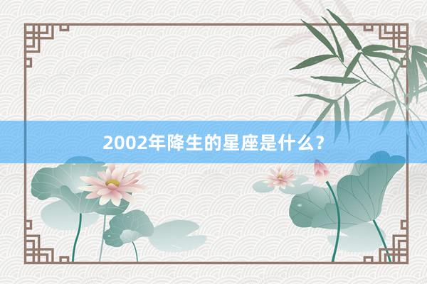 2002年降生的星座是什么？