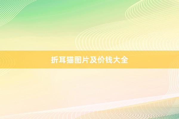 折耳猫图片及价钱大全